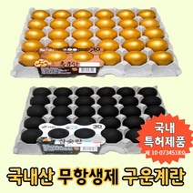 국내산 무항생제 구운계란 국내특허 황금란 참숯란, 참숯란(30구)