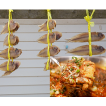손질박대 반건조 손질갈치 법성포 보리굴비, 법성포 보리굴비 10미 26~27cm