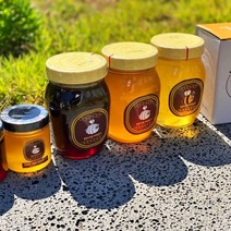 천연벌꿀 토종꿀 벌집꿀 진짜꿀 아카시아 야생화 숙성 밤꿀 효능 성분 선물세트 스틱, A. 천연벌꿀, 아카시아/야생화 500g 2종 선물세트