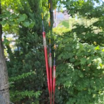 익투스 민물 내림전자찌 초절EF3 양어장 내림찌, 8