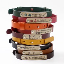 가죽 인식표 강아지 목걸이 고양이 이름표 NEW레더베이직, 손글씨체, 그린