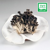 농사꾼아내 친환경 무농약 느타리 버섯 200g/400g/1kg, 친환경 느타리 버섯 400g, 1개