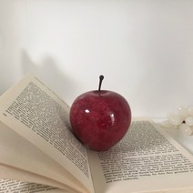 사과문진 오브제 책 애플 페이퍼웨이트, 화이트S