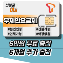선불폰이지 SKT 무제한요금제 6만원무료충전 6개월추가충전 선불유심 선불폰개통 유심기변 USIM, 데이터 에센스 [월 66,000원], 유심비 [+10,000원]