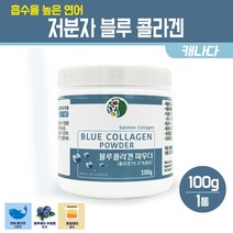 연어콜라겐 파우더 저분자 피쉬콜라겐 추출 분말 블루베리 로얄제리 먹는 이너뷰티 흡수율 높은 생선 껍질 어류 콜라겐 가루 COLLAGEN 캐나다, 1세트, 연어 콜라겐 파우더 100g