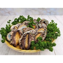 (면역력증강) 환절기 보양용 전복 1kg(15미~16미), 15~16마리, 1kg(15~16미)