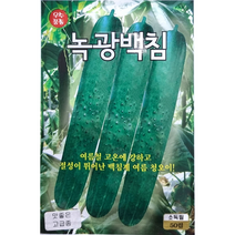 녹광백침 여름 오이씨앗 50립, 단품