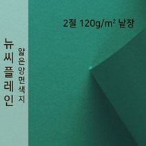 뉴씨플레인 종이문화 얇은 양면색지 120g 2절 낱장 1매 No.40 초록색, 1장