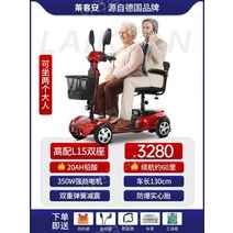 노인전동차 전동카 어르신 소형전기차, 24V, 2인승20Ah 납산 60마일300W