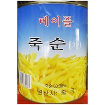 [RA㏓] 대화엠피 죽순캔 채 2.8K 가공통조림 가공 업소용 죽순 채캔 대용량 채통조림 식품 ▷_§Ea, 《본상품》, 벫▤선택없음