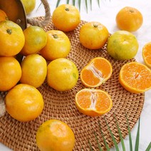 새콤달콤 제주 돌담 하우스 감귤 2.5kg 대과 (L-2L)