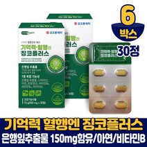기억력 혈행 징코 플러스 30정 진코 빌로바 GINKGO 은행잎추출물 7중 복합 기능성 건강기능식품 남성 여성, 6개
