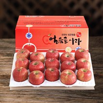 (산지직송) 밀양 얼음골사과 고당도 부사 5kg 10kg, 1box, 10kg 50~55(꼬마사과)