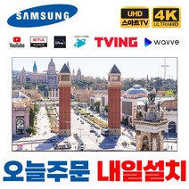 삼성 43인치 4K UHD 유튜브 넷플릭스 스마트TV 43TU7000, 2.서울경기 스탠드설치