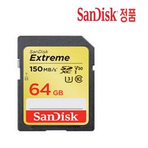 파나소닉 루믹스 DC-S1R 호환 카메라 MLC 메모리카드 64GB, 선택하세요, san extrem SD카드 64GB