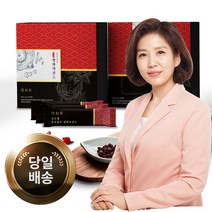 힘가네 쌍화차 100ml 10포