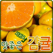 서귀포농원 첫수확 노지감귤 5kg 10 kg, 1개, 노지감귤5kg혼합과(2S~2L)