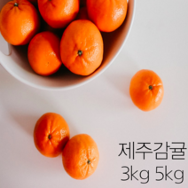 제주명품감귤 껍질얇은 귤 귤10키로 제주도귤택배 감귤단귤 감귤10키로 저농약귤 서귀포맛좋은감귤 당도높은귤 맛좋은감귤 싱싱한감귤 달달한귤 제주감귤 10키로 5키로 10kg 5kg, 감귤 5kg 꼬마과 x 1박스