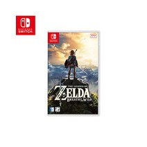 닌텐도스위치 젤다의전설 야생의 숨결, 단일옵션