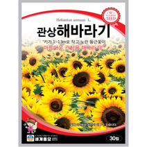 관상해바라기 씨앗 30립 꽃씨