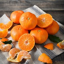 (롯데백화점)제주 고당도 레드향 4.5kg (30과내외/벌크포장)