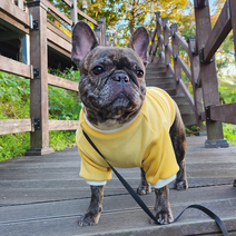 하랑펫 강아지옷 프렌치불독 전용옷 기모원단 자체제작 퍼그 보스턴테리어 3가지 타입중 선택가능, 반팔형올인원, 블루