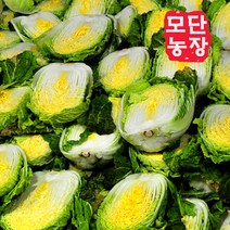 [모단농장 ]괴산절임배추 20kg/작황풍년/싱싱도보장, 11월 29일발송-30일도착