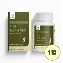 인도산 100% 보스웰리아 분말 가루 정 알약형 고함량 보스웰릭산 원물 akba kba 초록잎홍합 우슬 버드나무 추출물 아연 마그네슘 셀레늄 히알루론산 관절 연골 복합관리식품 효능, Brainbee 1Give