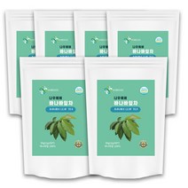 나우에버 바나바잎 친환경 PLA 티백차, 6팩