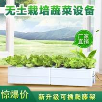 가정용 식물재배기 수경재배기 식물 재배기 수배채소 재배탱크 흙없는 가정 베란다 채소신기 다층수경, 옵션01, 크다