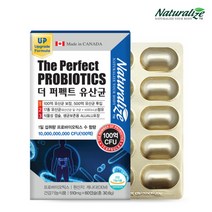 메타바이오틱스 프로바이오틱스 락토바실러스 플란타럼 복합물 장관리 프락토올리고당 프롤린 100억유산균, 1, 60정
