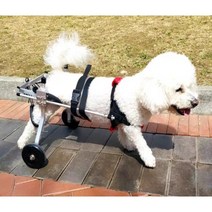 강아지 휠체어 보행기 애견의족 슬개골보호대, 레드타입 XL 골든리트리버 래브라도