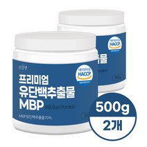 건강앤 HACCP인증 MBP 엠비피 프리미엄 유단백추출물 분말 500g, 2개