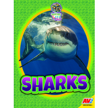 (영문도서) Sharks Paperback, Av2, English, 9781791138288
