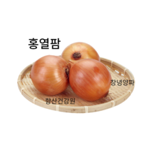 고지혈증영양제 양파즙100포, 고혈압양파즙