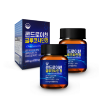 웰리즈 관절엔 콘드로이친 글루코사민정 500mg x 60정 1박스, 2개(4개월분) 120정 6%추가할인