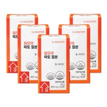 닥터루템 헤모어 락토 철분 빈혈 비헴철 철분제, 60정(10개월), 5박스