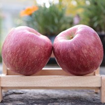 소백산 죽령 고냉지 단양사과 부사사과 5 kg(15-18과 중 선정), 16-18과