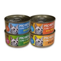 프로베스트 캣푸드 고양이 간식캔, 참치 + 치킨 혼합맛, 24개입