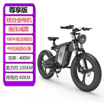 전기팻바이크 트레일 오프로드 전기 자전거 리튬 배터리 오토바이 성인 20 인치 산악 자동차, 익스클루시브 100KM, 48V