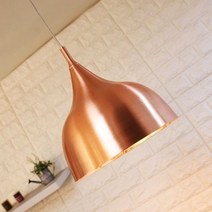 [하우스코디] 스튜어트 - 빈티지스타일 카파브라더즈 펜던트등LED에디슨G95전구( 눈꽃 ), LED에디슨G95전구(눈꽃)