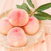 복숭아맛향오일 (Peach Flavor Oil) 10ml