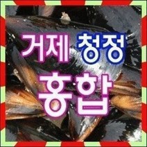 핫한 통영홍합10kg 인기 순위 TOP100을 확인하세요