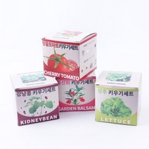 지피포트 키우기세트 봉선화 방울토마토 상추 강낭콩 0.3106ea, RA_ 봉선화