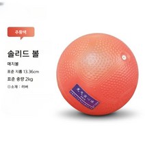 투포환 학교 포환 던지기 선수용, 투포환2kg 2개