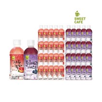 웰그린 스위트카페 녹차음료 340ml x 20PET 1박스 묶음 골라담기 자두 레몬 복숭아 블루베리 애플망고 또와몰53, 20+20개입(자두+블루베리)