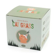 반려식물 화분재배키트 캣그라스 식물화분 키우기, 쿠팡 귀리싹