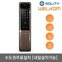 [수도권설치-내일도가능 ] 웰콤 얼굴인식 신제품 WSP-2900A 푸시풀 디지털도어락 카드키2개+번호키 블루투스(옵션) 안면인식 AI딥러닝기술적용 신속정확한얼굴인증 얼굴인식100개, 수도권설치(내일도 가능)-화요일