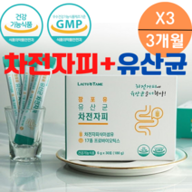 차전자피 프로 프리 바이오틱스 다이어트 식이섬유 약국 쾌변 장청소 약 숙변제거 장 가스제거 유산균 난소화성 말토덱스크린 화이바솔2 분말 수용성 식이섬유 영양제 스틱 섬유질, 30포X3박스