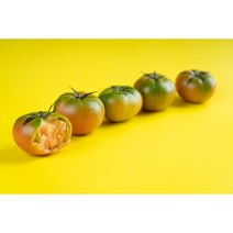[1월 실판매중] 대저짭짤이토마토 2.5kg, (판매중)대저토마토(M) 2.5kg